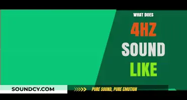 Exploring the Audible Mystery: What Does 4Hz Sound Like?