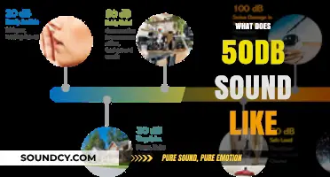 Understanding 50dB: What Does This Moderate Noise Level Sound Like?