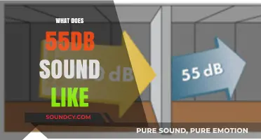 Understanding 55dB: What Does This Moderate Noise Level Sound Like?