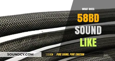 Unveiling the Unique Sonic Signature of 58bd in Music Production