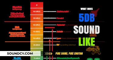 Understanding the Audible Impact: What Does a 5dB Increase Sound Like?