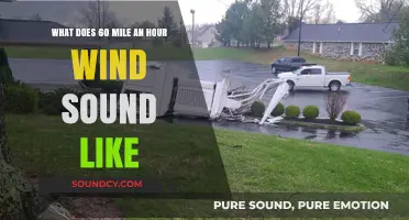 The Roaring Gale: What Does 60 MPH Wind Sound Like?