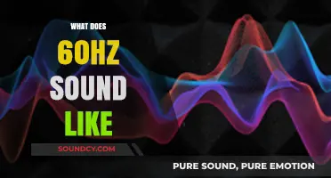 Understanding the Audible Characteristics of a 60Hz Frequency Sound