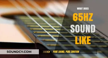 Unveiling the Unique Sonic Signature of 65Hz Frequencies