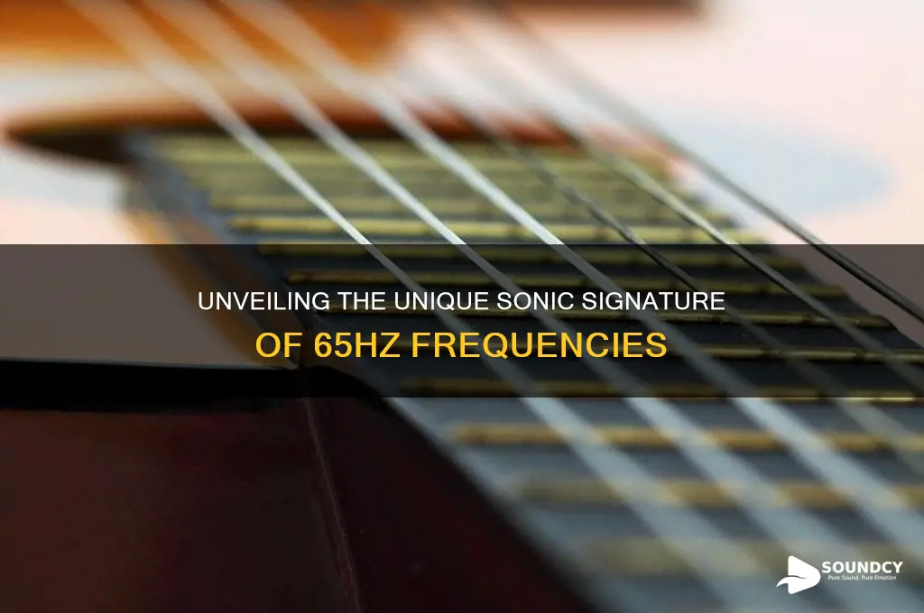 what does 65hz sound like