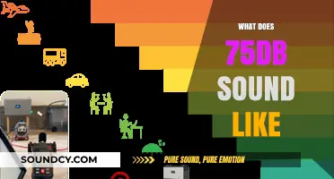 Understanding 75dB: What Everyday Sounds Match This Noise Level?