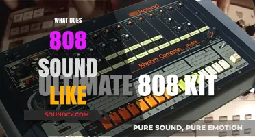 Unveiling the Iconic 808 Sound: A Deep Dive into Its Unique Sonic Signature