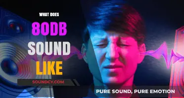 Understanding 80dB: Everyday Sounds and Their Impact on Hearing