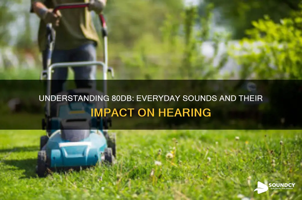 what does 80db sound like
