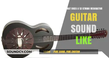 Exploring the Rich, Vibrant Sound of a 12-String Resonator Guitar
