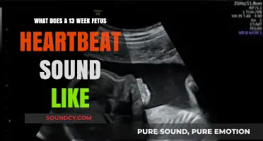 Listening to Life: The Melody of a 13-Week Fetus's Heartbeat