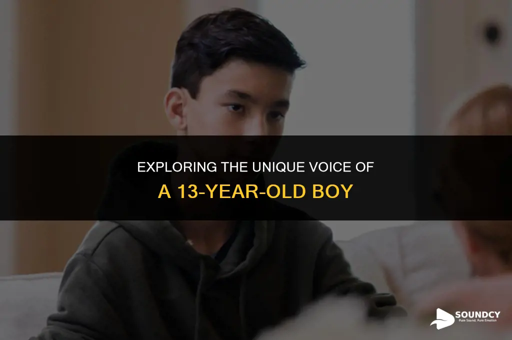 what does a 13 year old boy sound like
