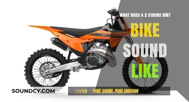 Revving Up Adventure: The Distinct Roar of a 2-Stroke Dirt Bike