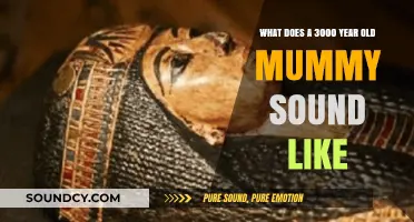 Unraveling the Mysteries: What Does a 3000-Year-Old Mummy Sound Like?