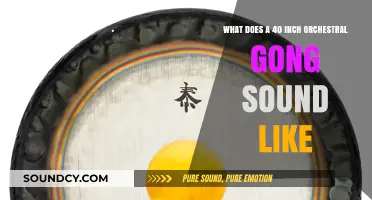 Exploring the Sonic Depths: The Majestic Sound of a 40-Inch Orchestral Gong