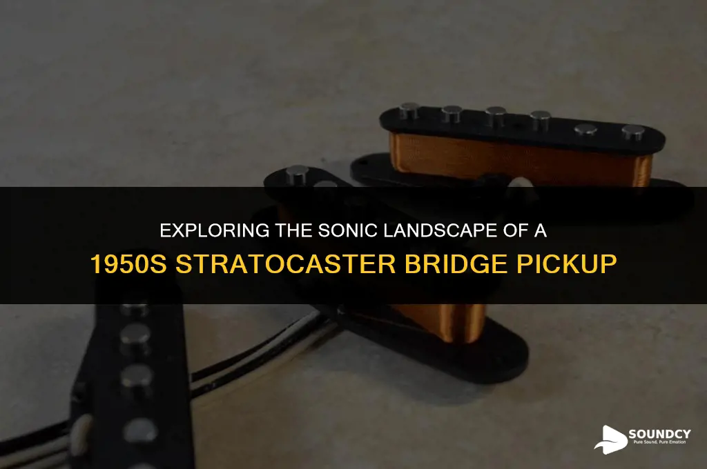 what does a 50s stratocaster bridge pickup sound like