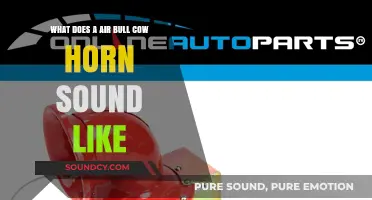 Decoding the Unique Sound of an Air Bull Cow Horn