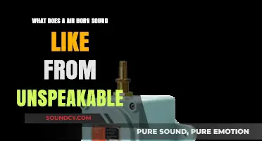 Unspeakable's Air Horn: A Sonic Mystery Unveiled