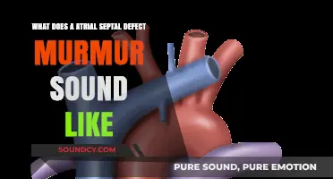 Understanding the Unique Sound of an Atrial Septal Defect Murmur