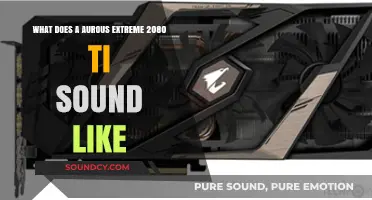 Unleashing Sonic Power: The Aurous Extreme 2080 Ti Experience