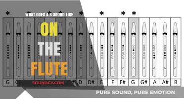 Exploring the Sonic Nuances: What Does a B Sound Like on the Flute?