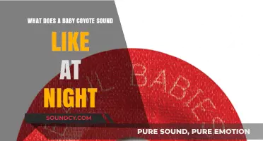 Nocturnal Serenades: Unveiling the Mysteries of Baby Coyote Calls