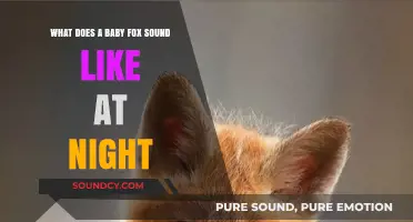 Nocturnal Melodies: Unveiling the Enchanting Sounds of Baby Foxes