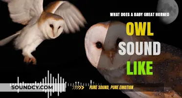 Echoes of the Wild: Unveiling the Unique Calls of Baby Great Horned Owls