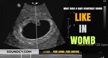 Listening to Life: The Miracle of a Baby's Heartbeat in the Womb