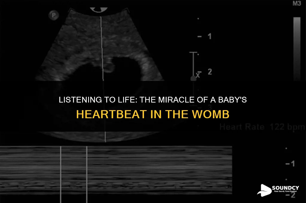 what does a baby heartbeat sound like in womb