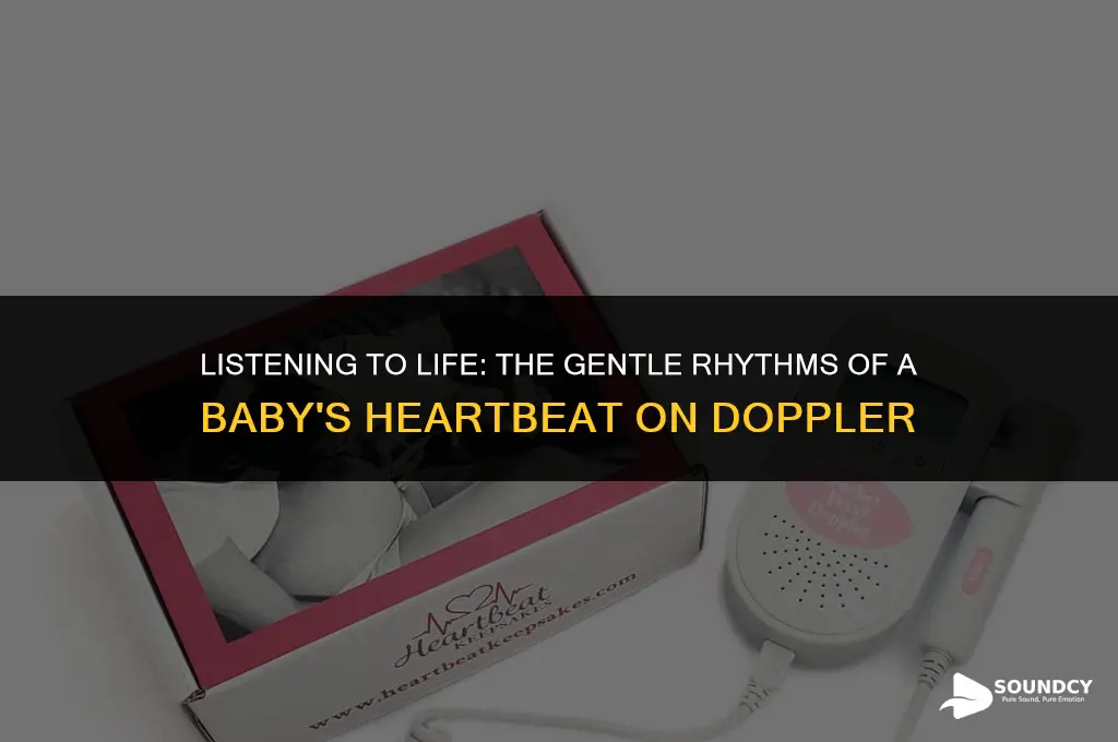 what does a baby heartbeat sound like on doppler