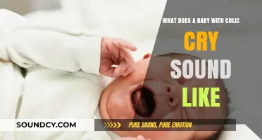 Decoding the Distress: Understanding Your Colicky Baby's Cry