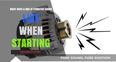 Diagnosing Alternator Issues: Unusual Sounds During Startup