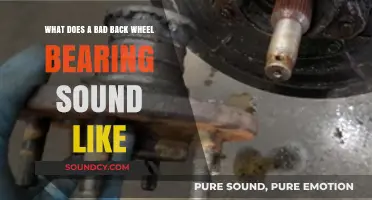 Decoding the Noise: How to Identify a Failing Back Wheel Bearing