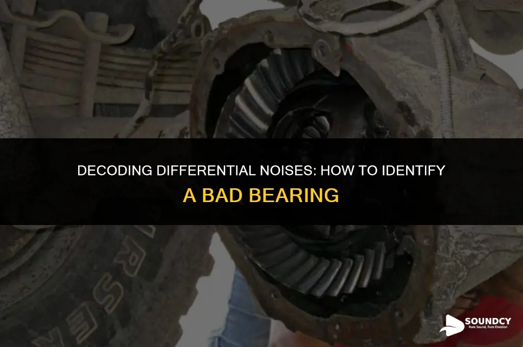 what does a bad bearing in the ditterential sound
