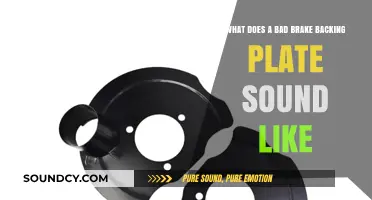 Identifying the Rattling Culprit: Bad Brake Backing Plate Sounds