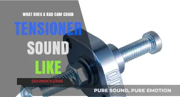 Diagnosing Engine Noises: Bad Cam Chain Tensioner Symptoms Explained