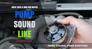Decoding the Rattles: How to Identify a Failing Car Water Pump