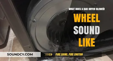 Decoding Dryer Noises: How to Identify a Failing Blower Wheel