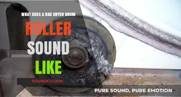 Identifying Dryer Drum Roller Noises: A Guide to Common Sounds