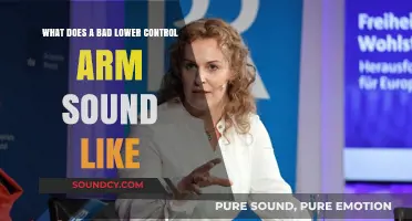Decoding the Rattles: What a Bad Lower Control Arm Sounds Like