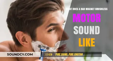 Decoding Brushless Motor Noises: Identifying Bad Magnet Sounds