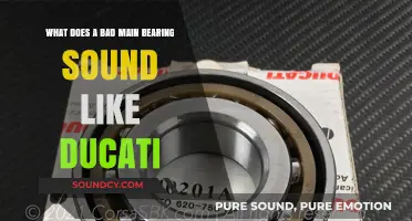 Decoding Ducati Engine Noises: Identifying a Failing Main Bearing