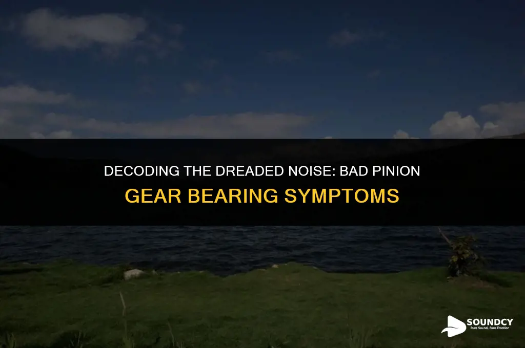 what does a bad pinion gear bearing sound like