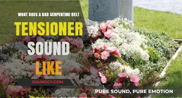 Decoding Serpentine Belt Tensioner Noises: A Guide to Common Sounds