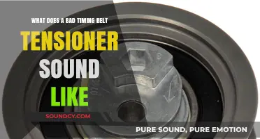 Diagnosing Engine Troubles: The Telltale Signs of a Failing Timing Belt Tensioner
