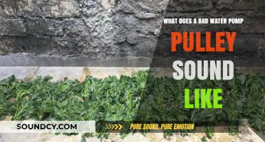 Diagnosing Engine Troubles: The Telltale Signs of a Failing Water Pump Pulley