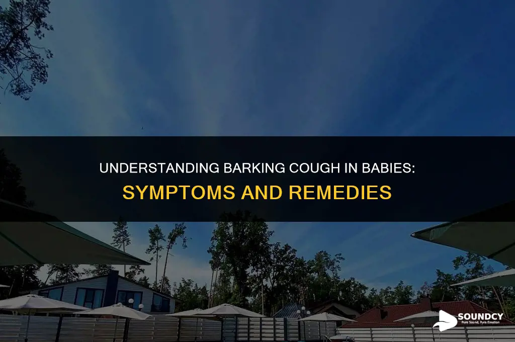 what does a barking cough sound like in babies