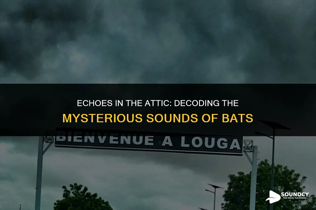 what does a bat in the attic sound like