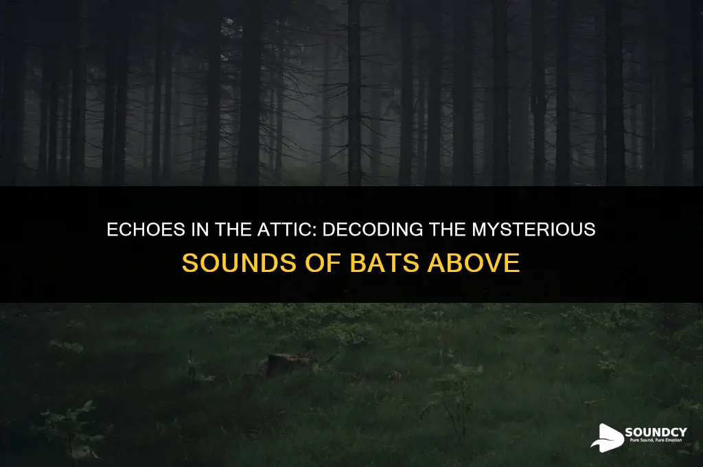 what does a bat in the ceiling sound like